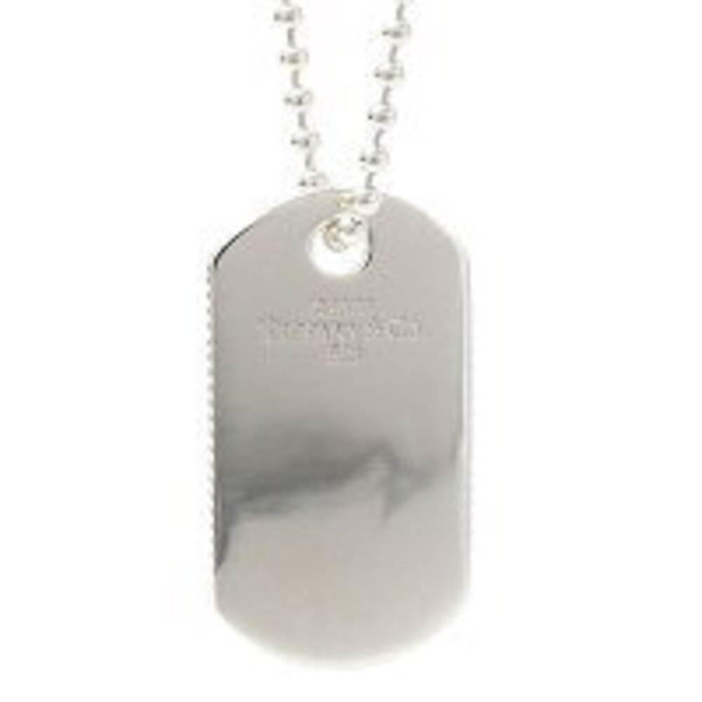 Tiffany necklace coin dog ball chain pendant silver